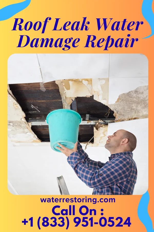 Roof Leak Water Damage Repair in Horatio, AR